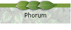 Phorum